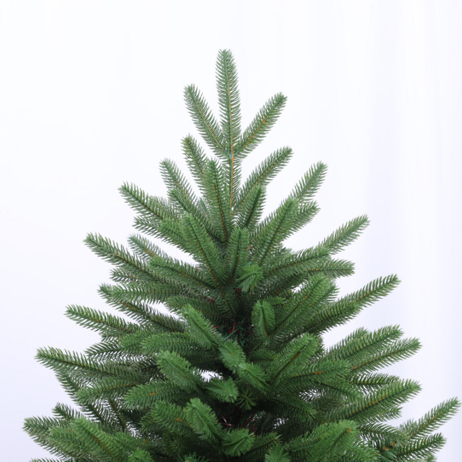 Pure pe Christmas tree