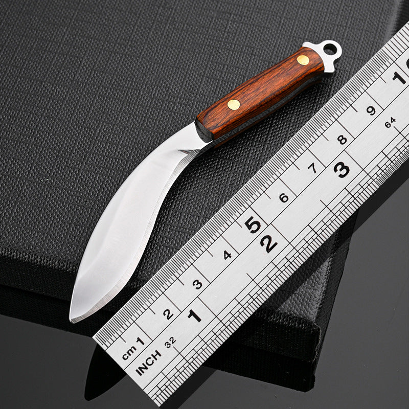 Non-folding mini cutting knife small kitchen knife