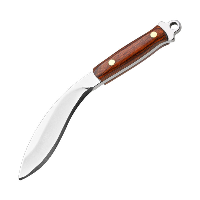 Non-folding mini cutting knife small kitchen knife