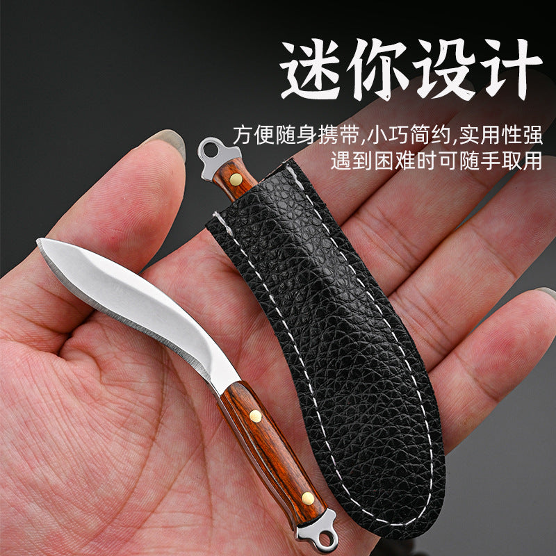 Non-folding mini cutting knife small kitchen knife