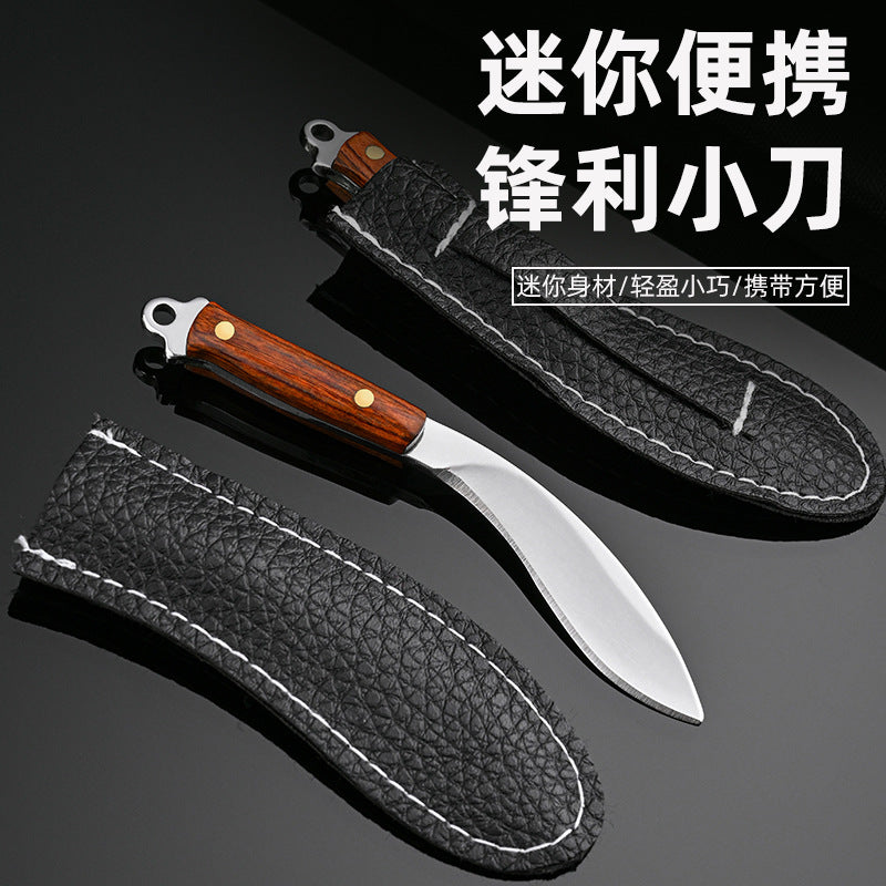 Non-folding mini cutting knife small kitchen knife