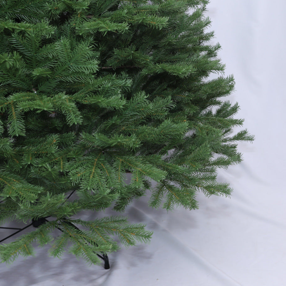 Pure pe Christmas tree